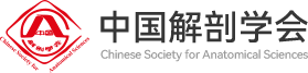 中国解剖学会